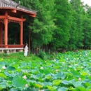 螺涌公园 - 广州市旅游 缩略图 5