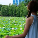 螺涌公园 - 广州市旅游 缩略图 3