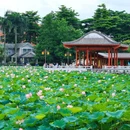 螺涌公园 - 广州市旅游 缩略图 4