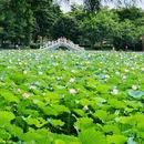 螺涌公园 - 广州市旅游 缩略图 7