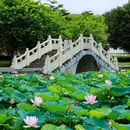 螺涌公园 - 广州市旅游 缩略图 9