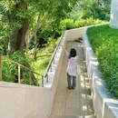 微波山公园 - 深圳市旅游 缩略图 2