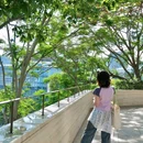 微波山公园 - 深圳市旅游 缩略图 4