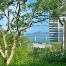 微波山公园 - 深圳市旅游 缩略图 3