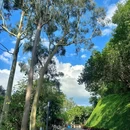 微波山公园 - 深圳市旅游 缩略图 7