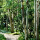 微波山公园 - 深圳市旅游 缩略图 8