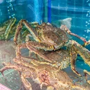 潮禧·潮汕菜·潮汕老字号(松江富悦店) - 上海市旅游 缩略图 1