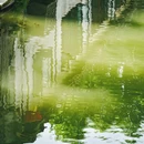 周庄古镇风景区 - 苏州市旅游 缩略图 4