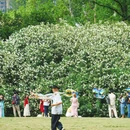逍遥津公园 - 合肥市旅游 缩略图 2