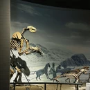 江苏江宁汤山方山国家地质公园博物馆 - 南京旅游 缩略图 2