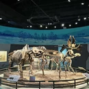 江苏江宁汤山方山国家地质公园博物馆 - 南京旅游 缩略图 1