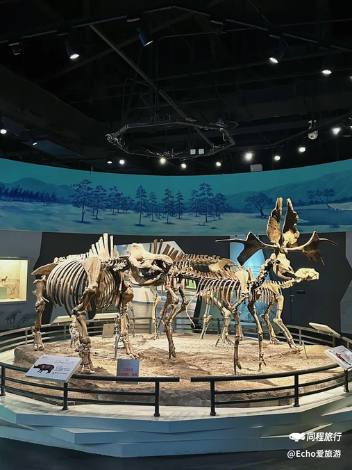江苏江宁汤山方山国家地质公园博物馆 - 南京旅游