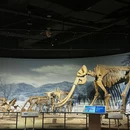 江苏江宁汤山方山国家地质公园博物馆 - 南京旅游 缩略图 9
