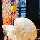 ELI FALAFEL Lebanese&Mediterranean黎巴嫩美食(延平路店) - 上海市旅游 缩略图 3