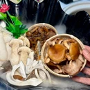 名善山珍·野生菌汤锅(文殊院店) - 成都市旅游 缩略图 4