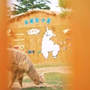 祥源花世界旅游度假区 - 合肥市旅游 缩略图 4