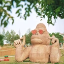 祥源花世界旅游度假区 - 合肥市旅游 缩略图 3