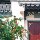 云水岗北 - 合肥市旅游 缩略图 4