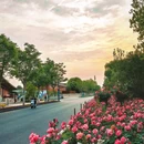 合肥骆岗公园 - 合肥市旅游 缩略图 4
