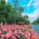 合肥骆岗公园 - 合肥市旅游 缩略图 5