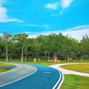 合肥骆岗公园 - 合肥市旅游 缩略图 3