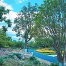 合肥骆岗公园 - 合肥市旅游 缩略图 6