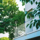 计家墩村 - 苏州市旅游 缩略图 4