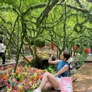 王府竹海度假旅游区 - 洛阳市旅游 缩略图 1