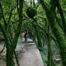 王府竹海度假旅游区 - 洛阳市旅游 缩略图 7