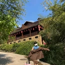 王府竹海度假旅游区 - 洛阳市旅游 缩略图 9