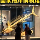 国家海洋博物馆 - 天津市旅游 缩略图 1