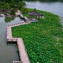 拙政园 - 苏州市旅游 缩略图 9