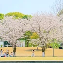 杭州万科良渚文化艺术中心 - 杭州市旅游 缩略图 8