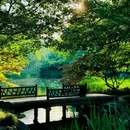 太子湾公园 - 杭州市旅游 缩略图 8