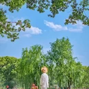 盛泽湖月季公园 - 苏州市旅游 缩略图 6