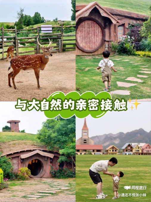 瑞莱悦旅酒店(洛阳火车站地铁站店) - 洛阳市旅游
