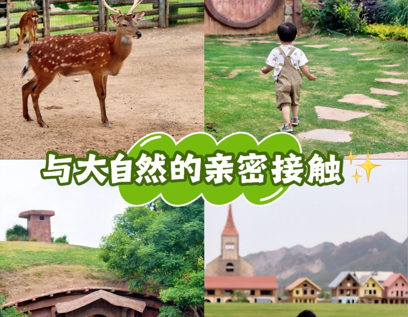 瑞莱悦旅酒店(洛阳火车站地铁站店) - 洛阳市旅游 1