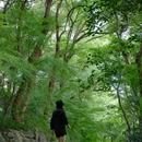 吴山景区 - 杭州市旅游 缩略图 2