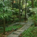 吴山景区 - 杭州市旅游 缩略图 9