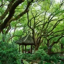 吴山景区 - 杭州市旅游 缩略图 8