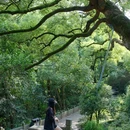 吴山景区 - 杭州市旅游 缩略图 6