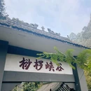 桫椤峡谷 - 乐山市旅游 缩略图 1