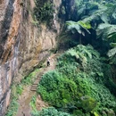 桫椤峡谷 - 乐山市旅游 缩略图 2