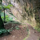 桫椤峡谷 - 乐山市旅游 缩略图 4