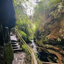 桫椤峡谷 - 乐山市旅游 缩略图 8