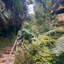 桫椤峡谷 - 乐山市旅游 缩略图 7
