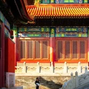 故宫博物院 - 北京市旅游 缩略图 5