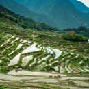 云和梯田景区 - 丽水市旅游 缩略图 5
