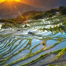 云和梯田景区 - 丽水市旅游 缩略图 7