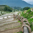 云和梯田景区 - 丽水市旅游 缩略图 8
